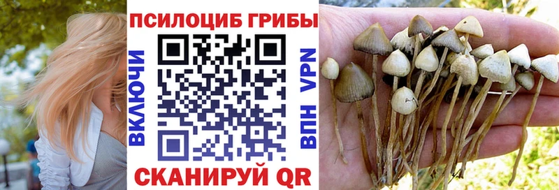 купить закладку  Тбилисская  Галлюциногенные грибы GOLDEN TEACHER 