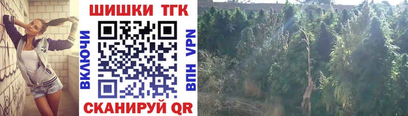 где купить наркоту  Тбилисская  Канабис гибрид 